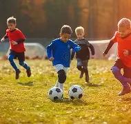 岁穆德里克,新年宣言,携手共进,韦德体育,韦德体育官网,韦德体育app,韦德体育下载,betvictor官网