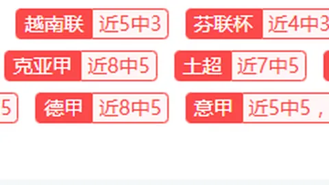 【连胜风云再起！猛龙激战森林狼，NBA焦点对决精彩解读】